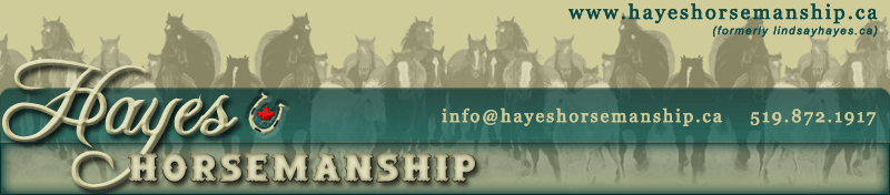 Hayes Horsemanship