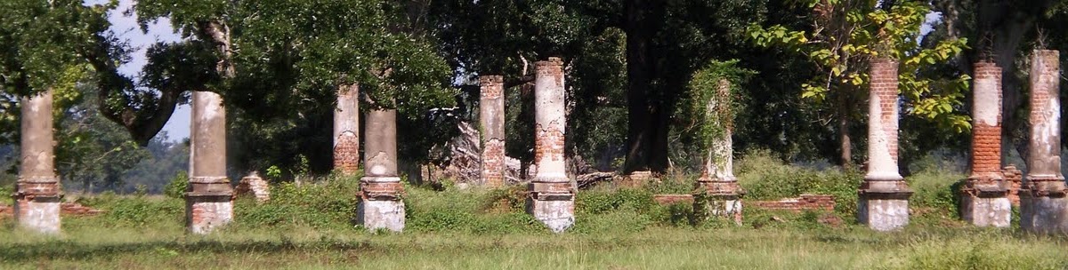 Historical Baton Rouge The 1859 Explosion Of The River Boat