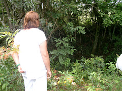 Obrigações na Mata