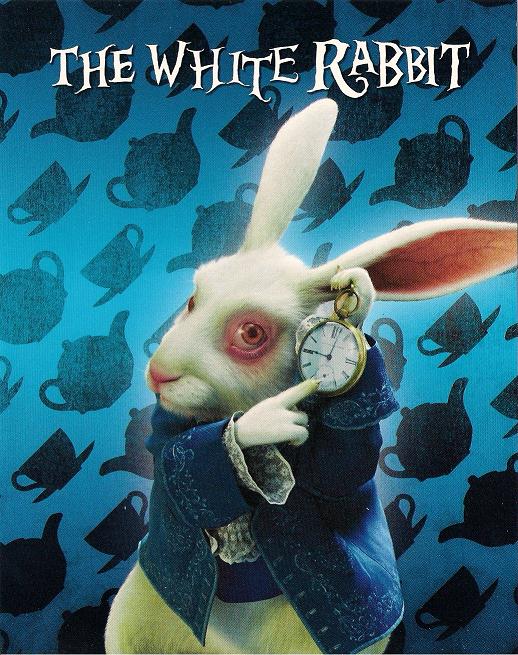 Disneyphemera Alice in Wonderland Combo Pack & Coupon