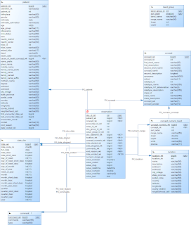OpenMRS: ETL/Data Warehouse/Reporting: DW Data Model