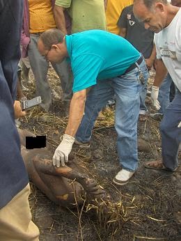 MUERE OBRERO ATRAPADO POR INCENDIO EN UNA FINCA 1 0%20calcinado1