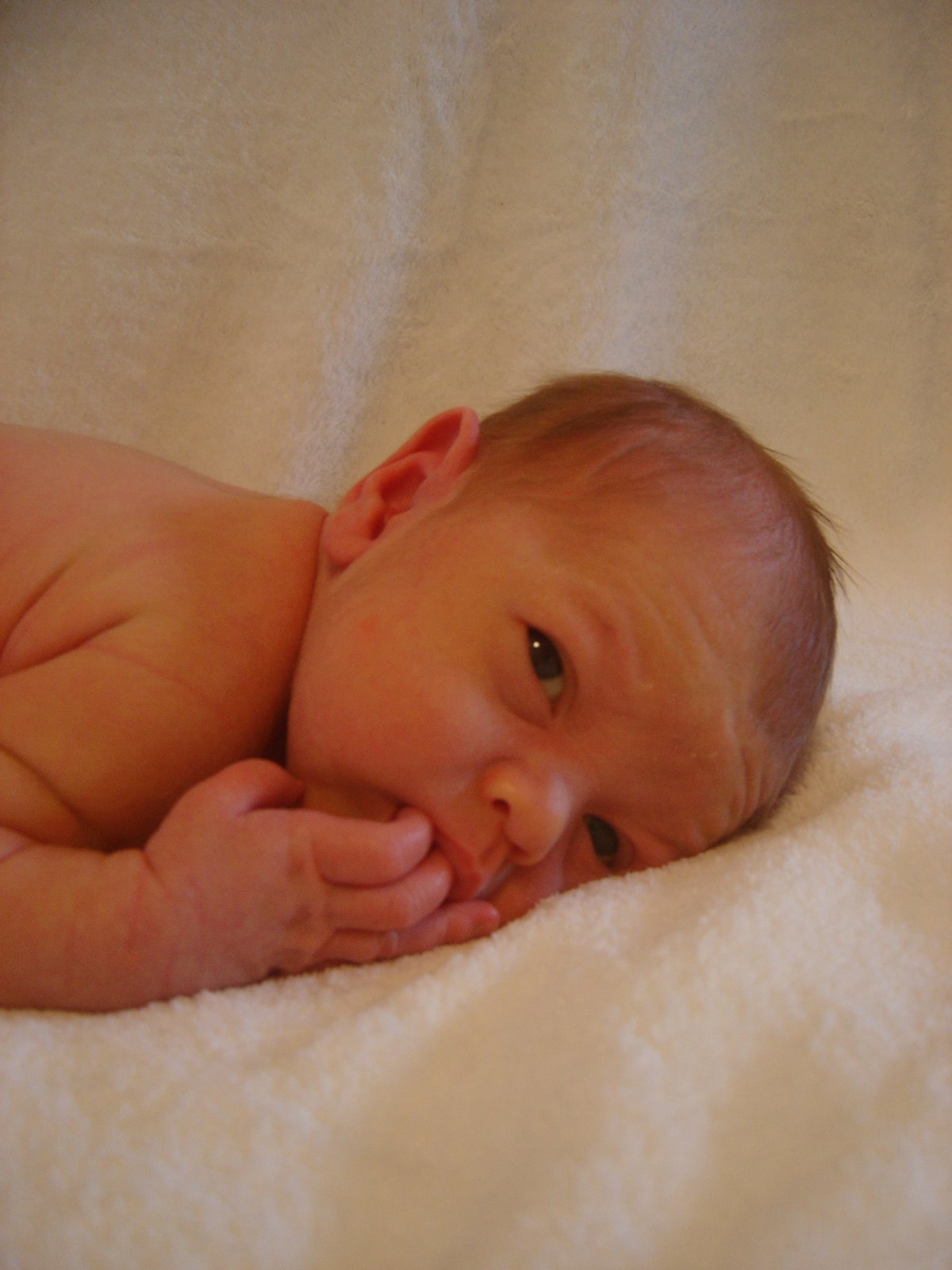 [DSC04576+-+Copy.JPG]