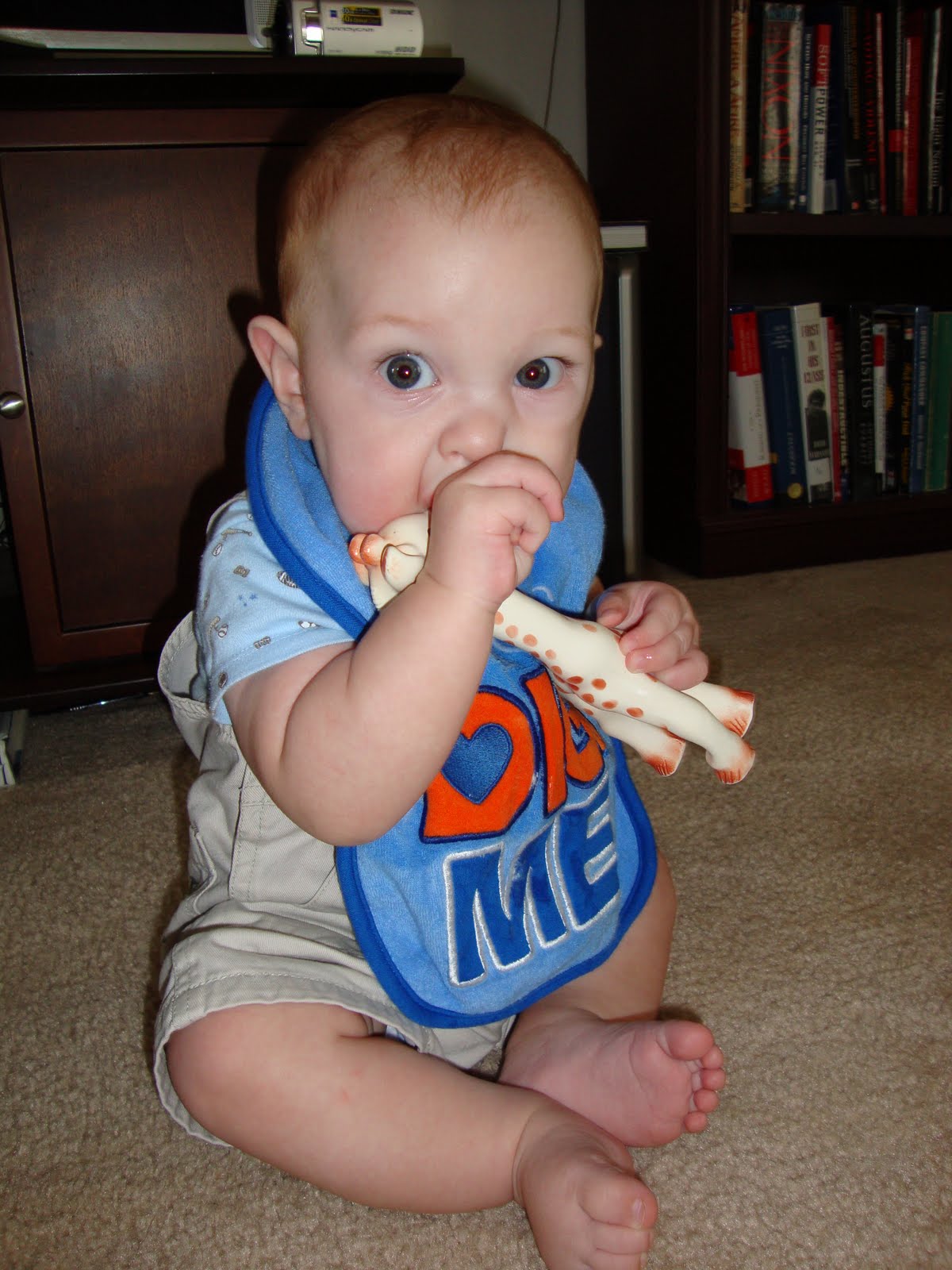 [DSC00134.JPG]