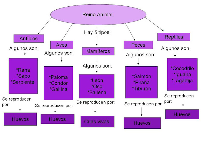 Mapa Conceptual: