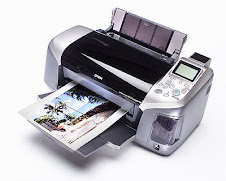 SCARICA DRIVER EPSON C48