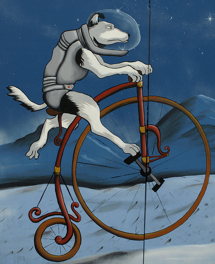 Bike Ride to the Moon 2010