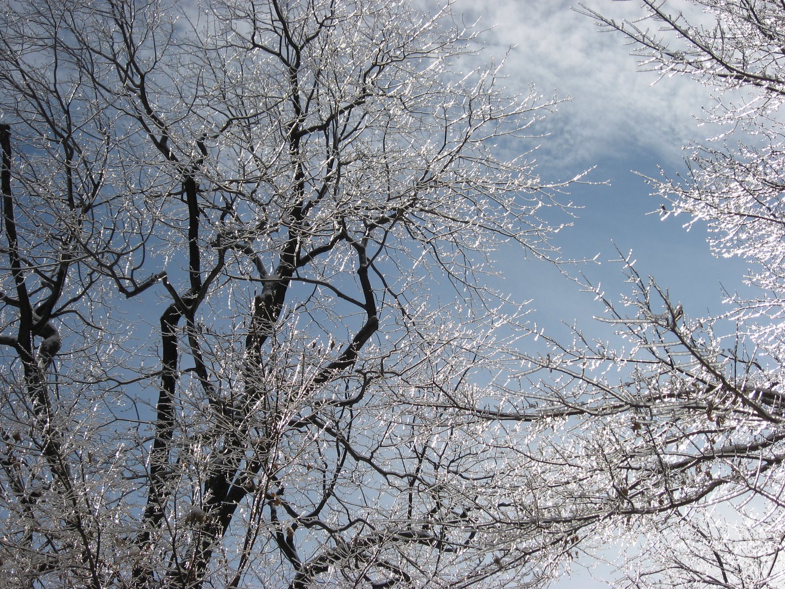 [IMG_0174.JPG]