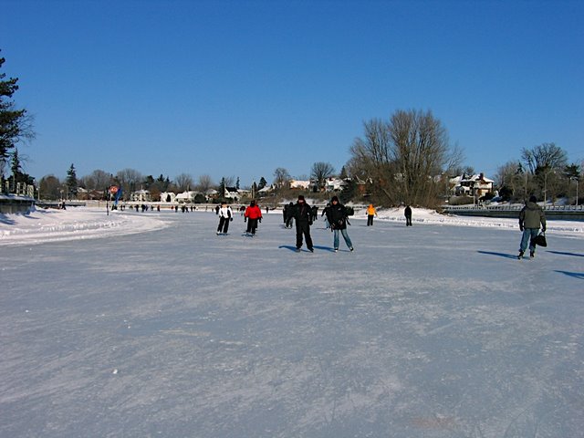 [IMG_5050.JPG]