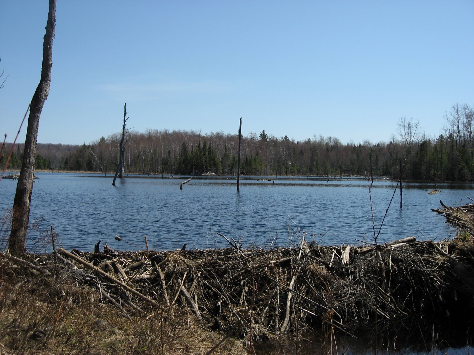 [IMG_0420.JPG]