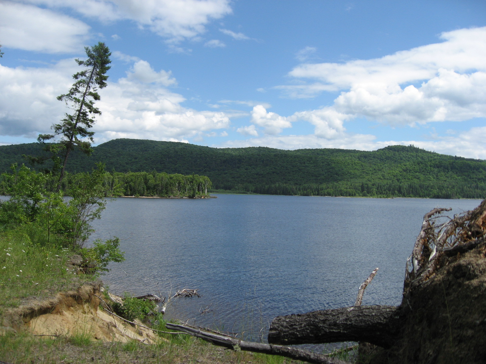 [IMG_1547.JPG]