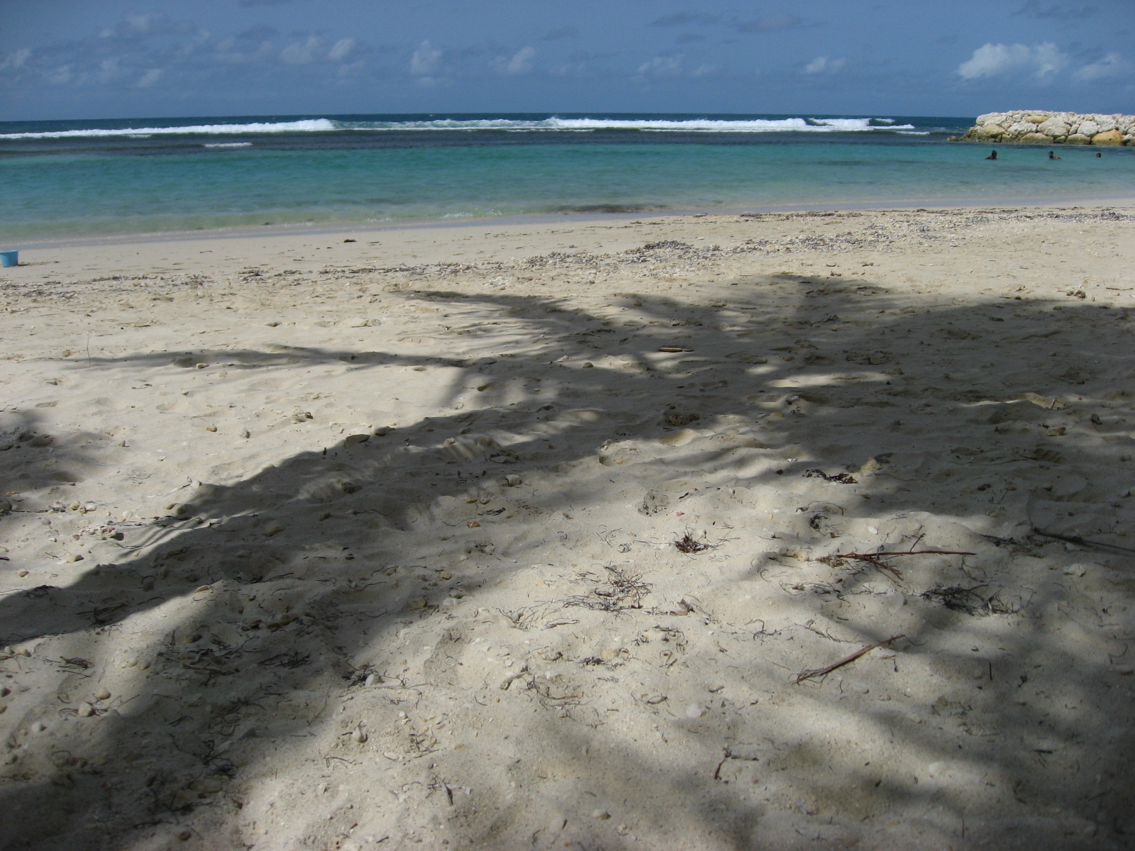 [IMG_2301.JPG]