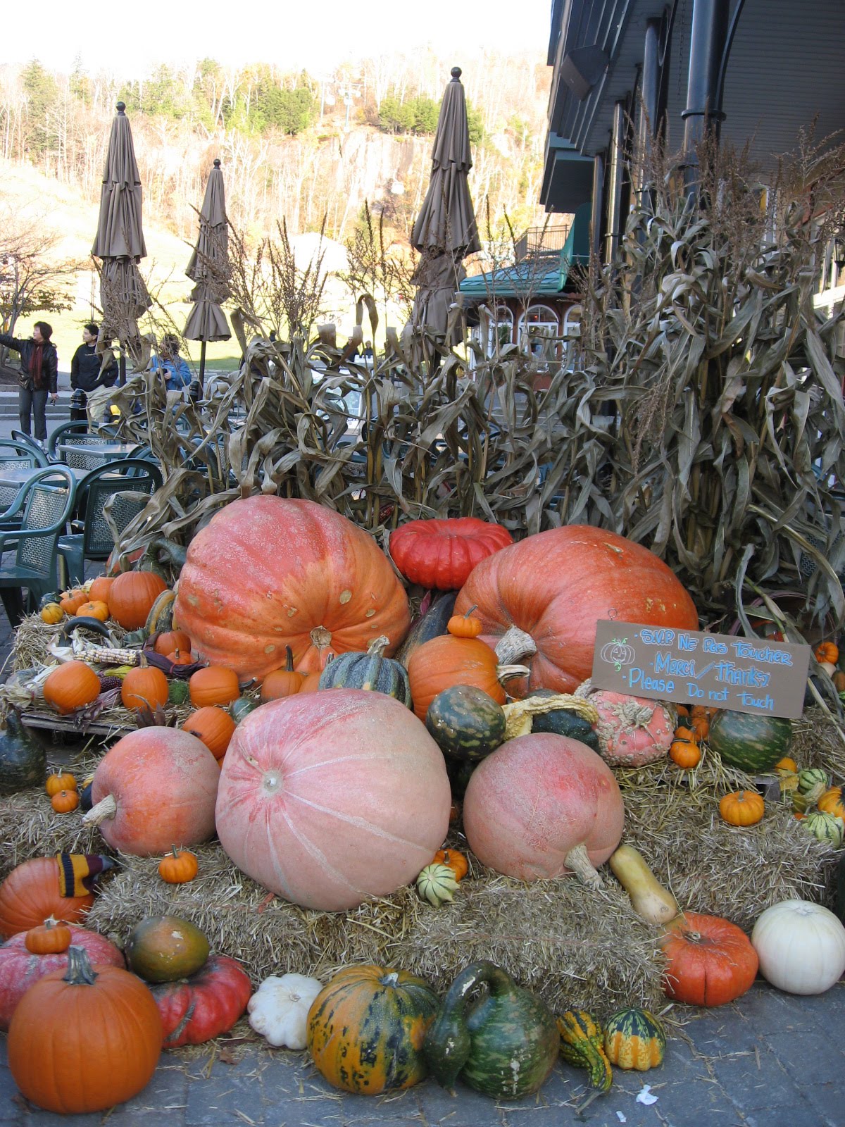 [IMG_2728.JPG]