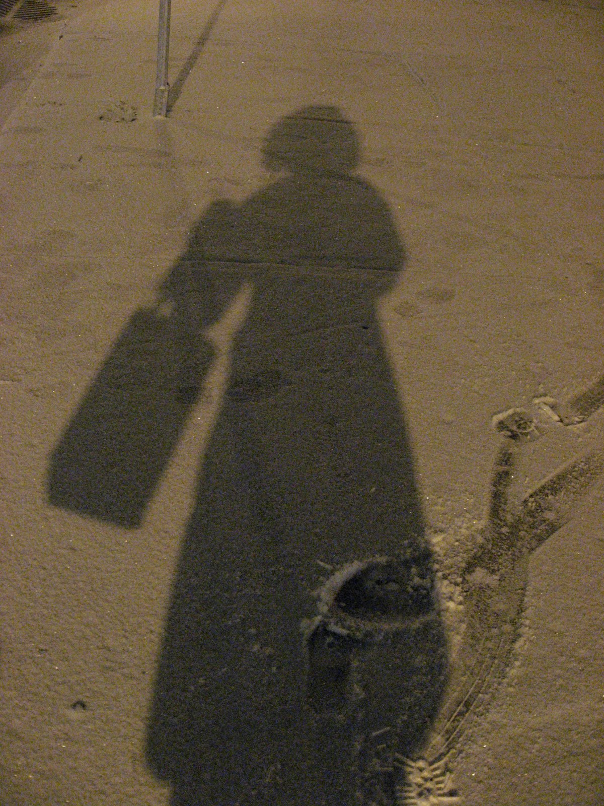 [IMG_2875.JPG]