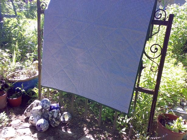 Ankes Garten: Juni 2010