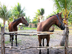 COWBOY IN KELANTAN