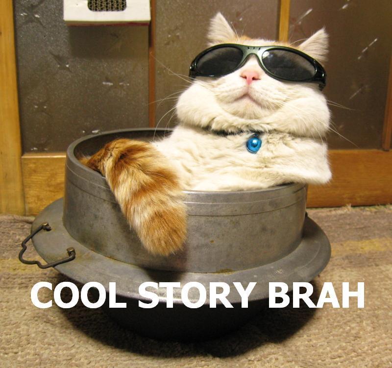 https://2.bp.blogspot.com/_yhbn_a97Rdo/S_5MuFdxBUI/AAAAAAAAAFw/UqWJprgyKRE/s1600/coolstory_cat.jpg