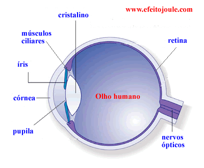 clínica oftalmológica duque de caxias