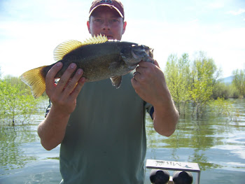 3 lb Pineview Smallmouth