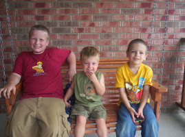 My Three Grandsons