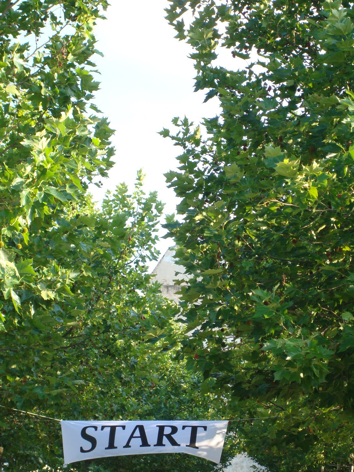 Piggy bankin free slots