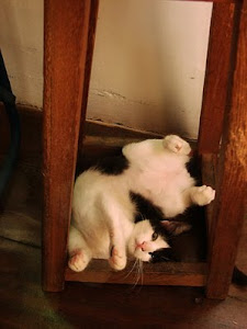 Flexibilidade!