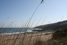 towan beach