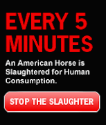 STOP SLAUGHTER