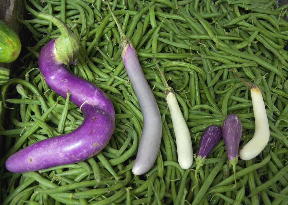 SIW Vegetables CSA Weekly Share