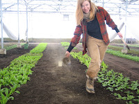 Have You Ever Picked A Carrot?: Till, Rake, Rattle and Roll: Amending A ...