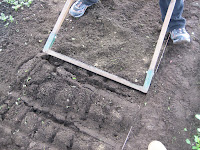 Have You Ever Picked A Carrot?: Till, Rake, Rattle and Roll: Amending A ...