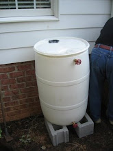 Rain barrel is in its place