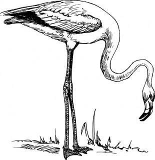 Black and white flamingo clip art