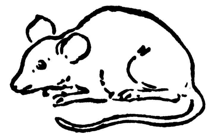 clipart mouse black and white - photo #37