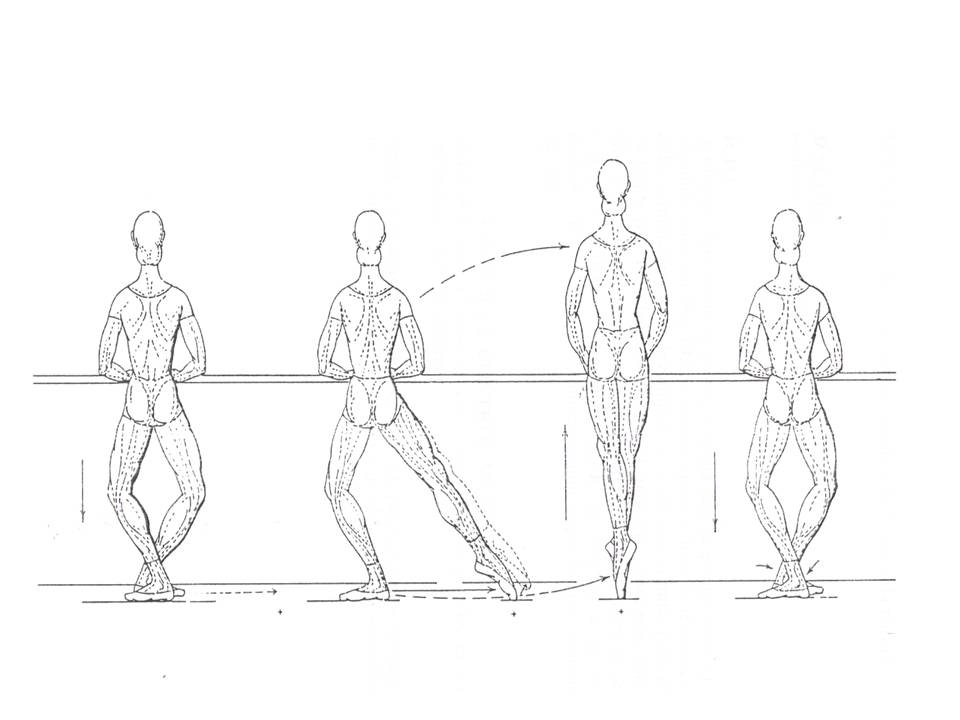 The Classic Ballet GLISSADE EN PUNTAS