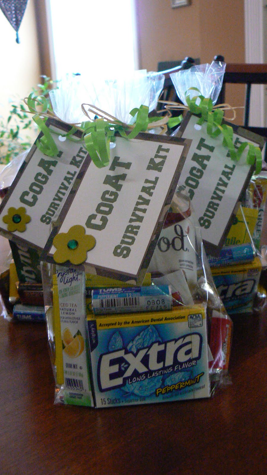 WhatACuteIdea!: Personalized "Goody" Bags/Survival Kits