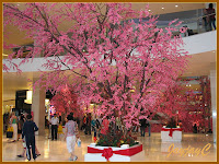 Cherry Blossoms at Pavilion KL during the Lunar New Year of The Ox