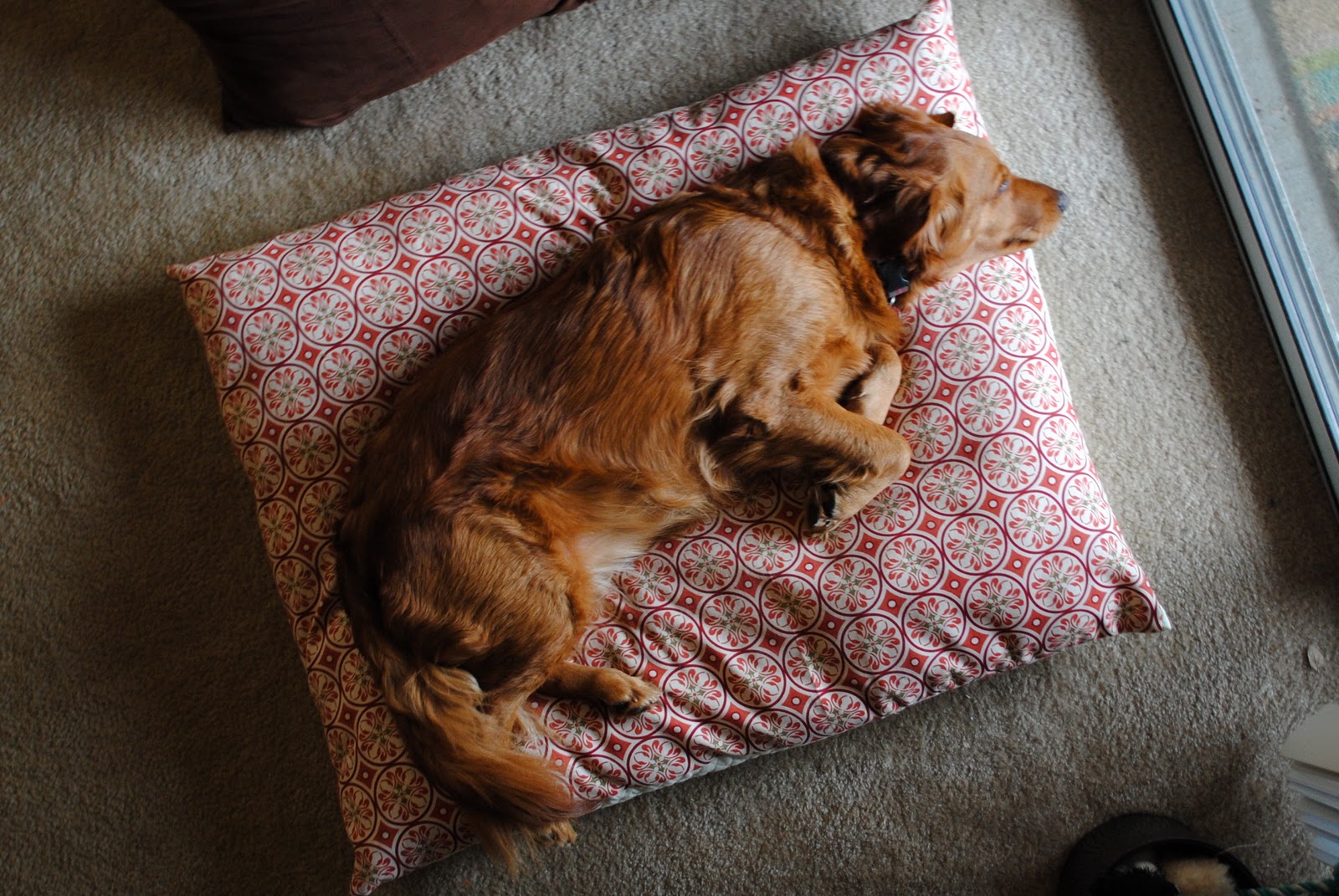 easy to sew dog beds Pitter Patter