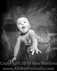 watkins ron wet portraits underwater portrait pm posted