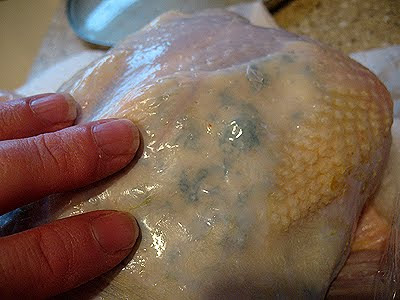 A close up photo of oil being rubbed onto the skin of the chicken.