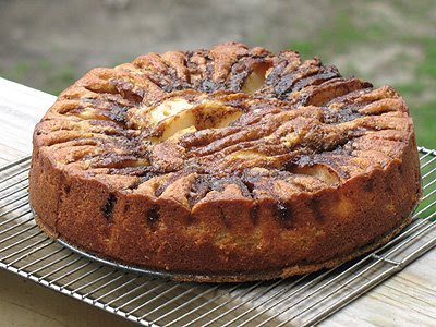 A close up photo of a Greek apple pastry.