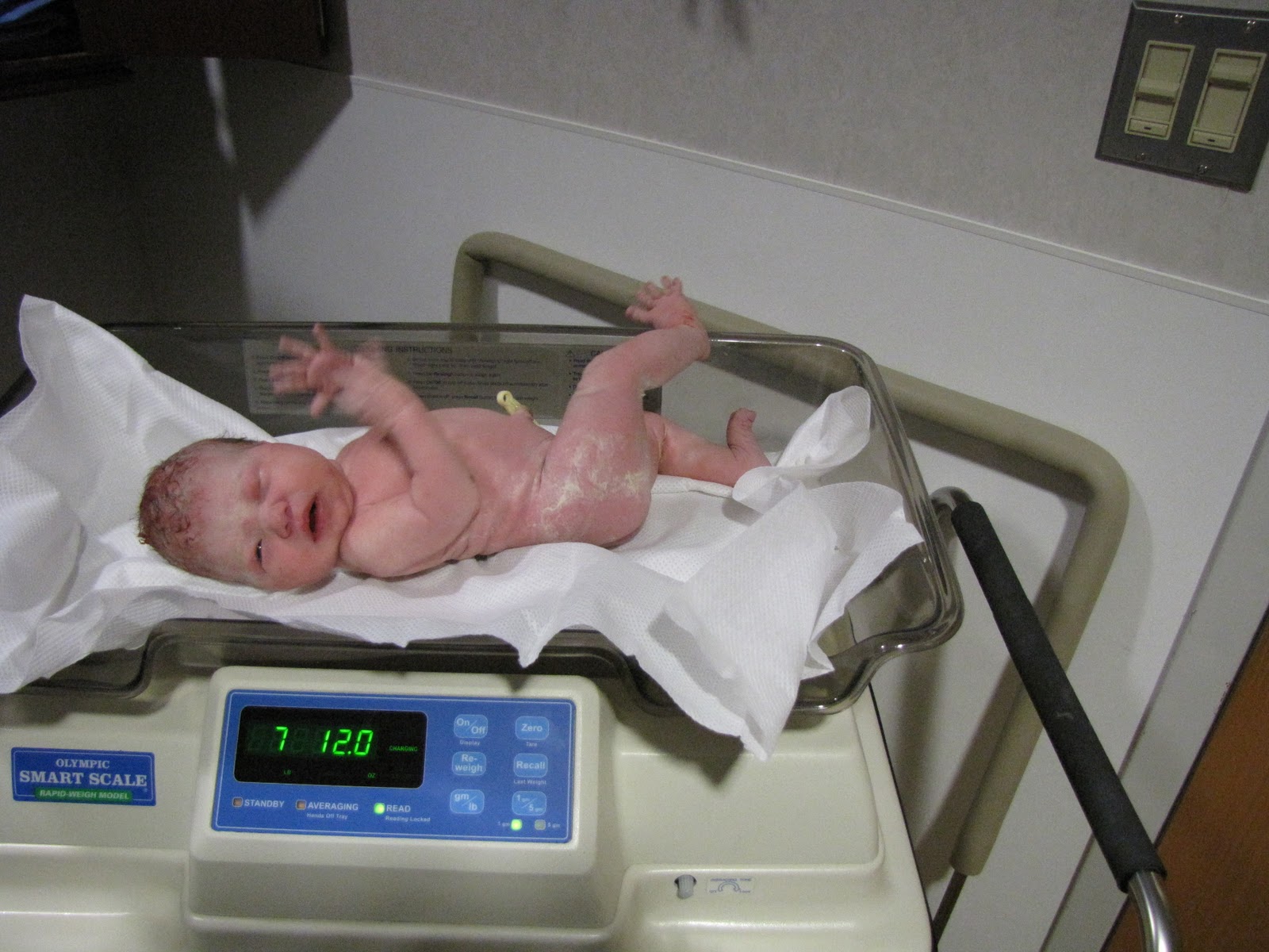 Laurelea and Will Laurelea Ava Carlyle