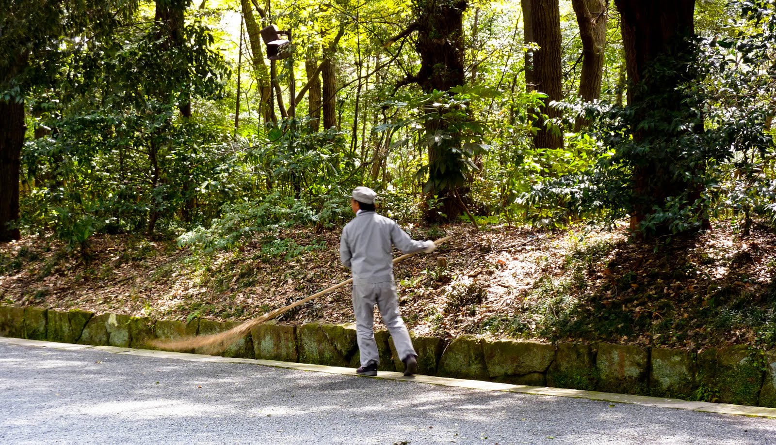Arizona door part ARIZONA SKIES: Japan - Tokyo, Part 4