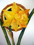 Daffodil ....