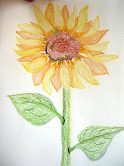 Lynn's sunflower.