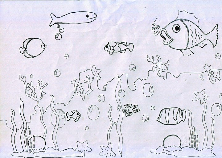 Sketsa Gambar Ikan Di Laut