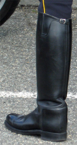 BHD's Musings: Even Cops Have Trouble with Dehner Boots