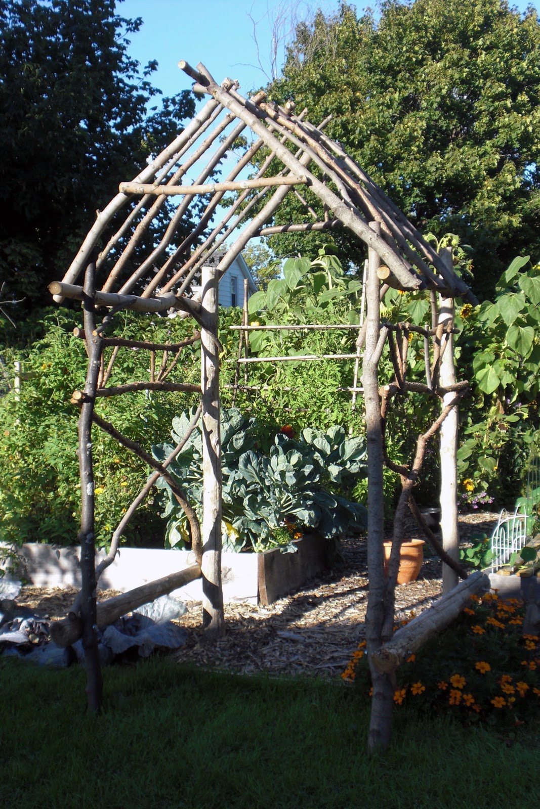 The Violet Fern: Project: Rustic Arbor