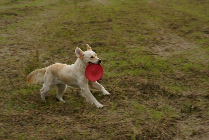 DSC06645.JPG