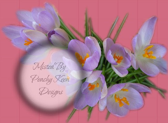 Peachy Keen Designs- PSP Tubes: New Mist - Purple Flowers